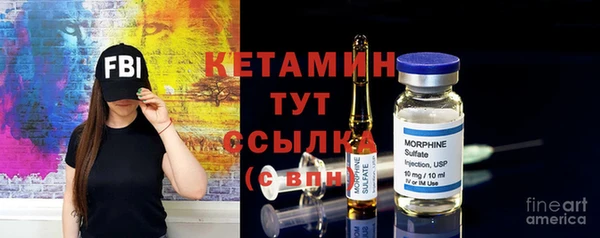 амф Дмитриев