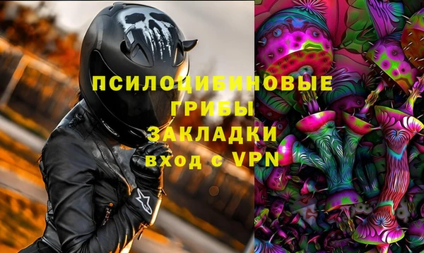 гидра Инсар