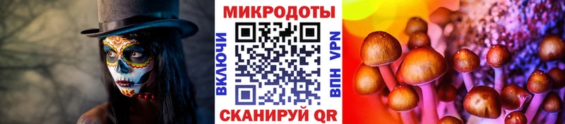 ОМГ ОМГ маркетплейс  закладки  Зеленогорск  Псилоцибиновые грибы ЛСД 